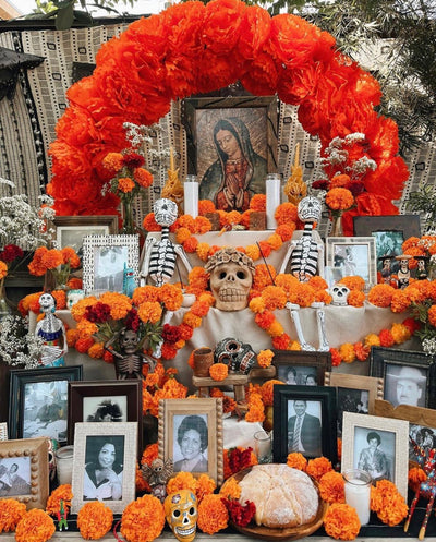 Do Not Throw Away Your Cempasuchiles (Marigolds) After Day of the Dead