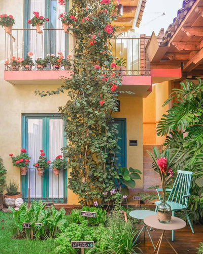 Virtually Escape to a Charming &amp; Eco-Friendly Hotel in San Cristobal de Las Casas