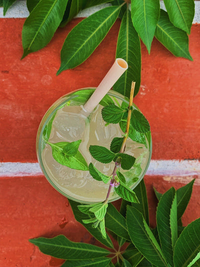 Mojito a la Oaxaqueña