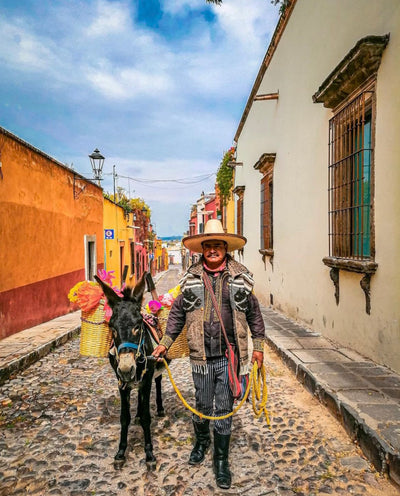 How Much Does It Cost to Travel to San Miguel de Allende?