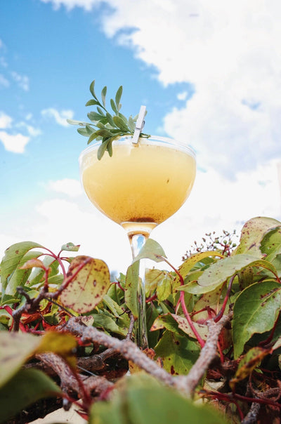 Oaxacan Sunset Cocktail